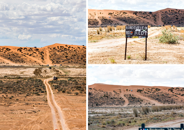 ©Roslyn Budd - www.buddphotography.com.au