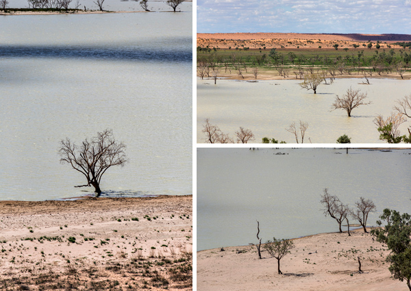 ©Roslyn Budd - www.buddphotography.com.au