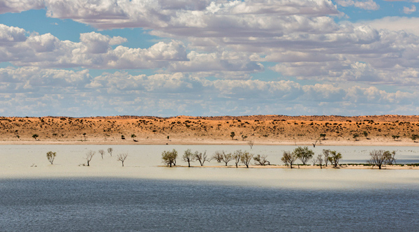 ©Roslyn Budd - www.buddphotography.com.au