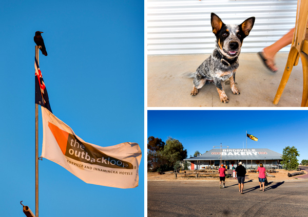 ©Roslyn Budd - www.buddphotography.com.au