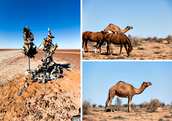 ©Roslyn Budd - www.buddphotography.com.au