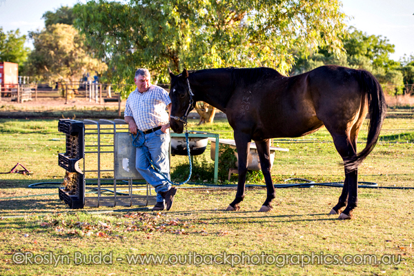 ©Roslyn Budd - www.buddphotography.com.au