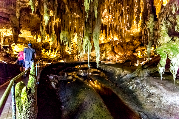 Mammoth Cave, Margaret River, (buddphotography.com.au)