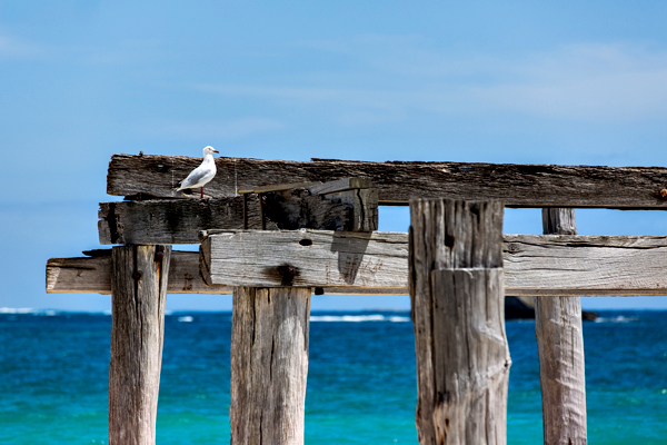 Hamelin Bay, Western Australia