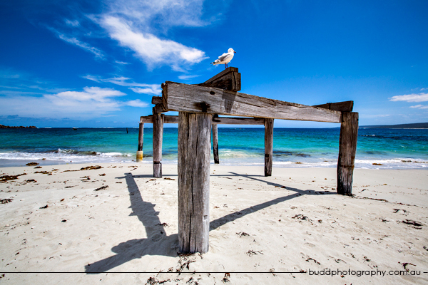 Hamelin Bay, Western Australia
