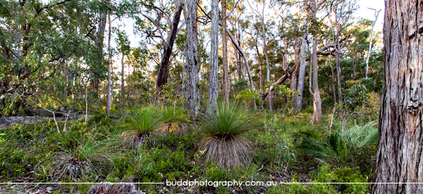Margaret River, Western Australia (buddphotography.com.au)