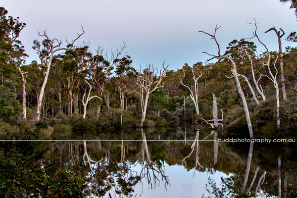 Margaret River, Western Australia (buddphotography.com.au)