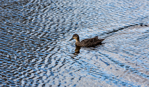 Margaret River, Western Australia (buddphotography.com.au)