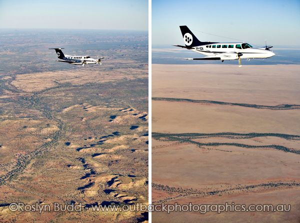 ©Roslyn Budd - www.buddphotography.com.au