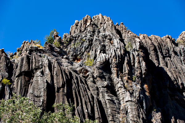 Windjana Gorge, The Kimberley, Western Australia