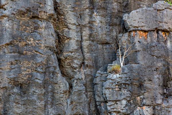 Windjana Gorge, The Kimberley, Western Australia