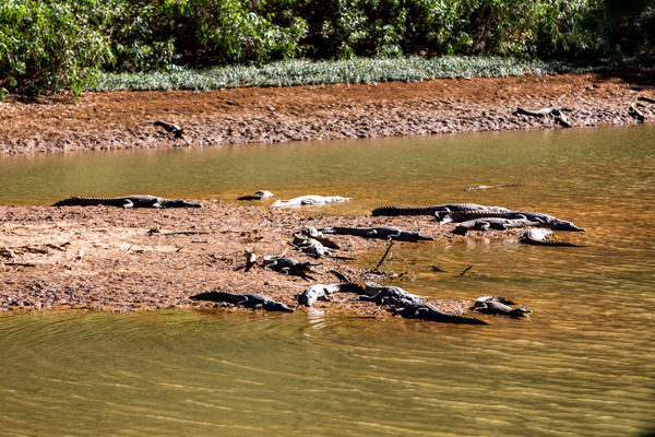 Windjana Gorge, The Kimberley, Western Australia
