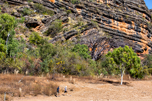 Windjana Gorge, The Kimberley, Western Australia
