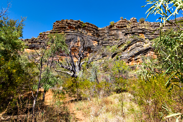 Windjana Gorge, The Kimberley, Western Australia