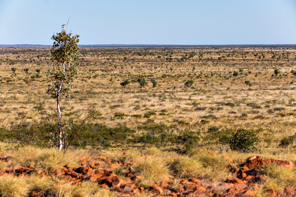 Wolfe Creek, Wolfe Creek Meteorite Crater, Budd Photography, Halls Creek, Tanami Track, Meteortie, Meteorite Crater, Wolfe Creek Crater