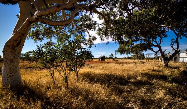 Wolfe Creek, Wolfe Creek Meteorite Crater, Budd Photography, Halls Creek, Tanami Track, Meteortie, Meteorite Crater, Wolfe Creek Crater