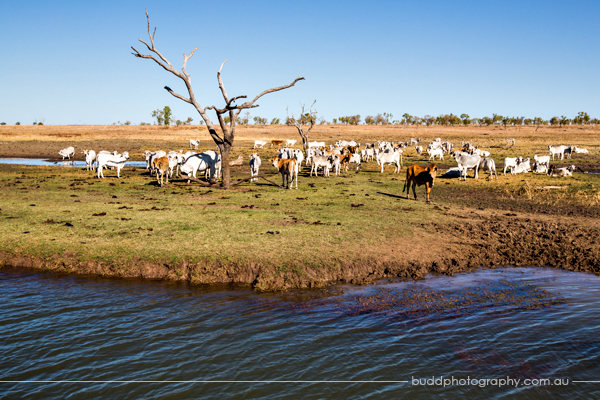 Zebra Rock Mine, Duncan Road, Zebra Rock, The Kimberley, Budd Photography