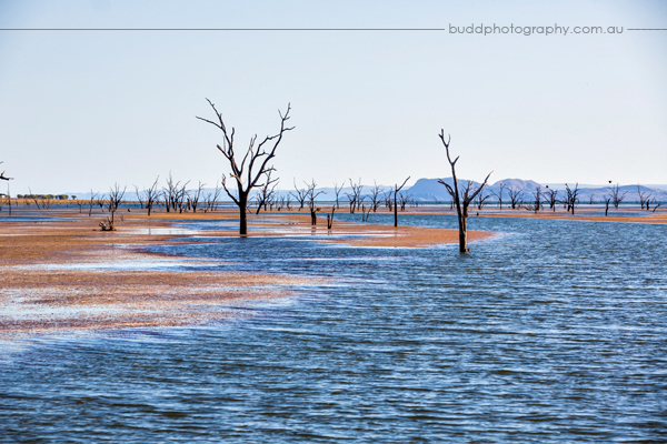Zebra Rock Mine, Duncan Road, Zebra Rock, The Kimberley, Budd Photography