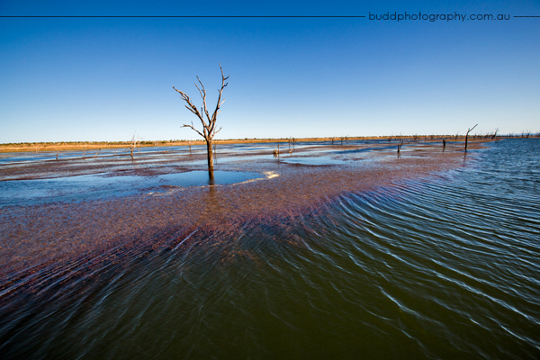 Zebra Rock Mine, Duncan Road, Zebra Rock, The Kimberley, Budd Photography