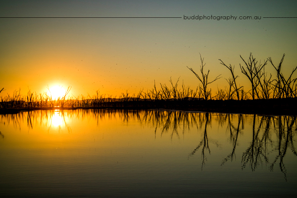 Zebra Rock Mine, Duncan Road, Zebra Rock, The Kimberley, Budd Photography