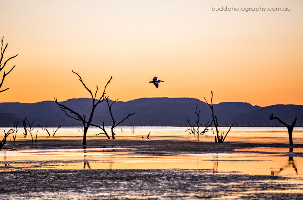 Zebra Rock Mine, Duncan Road, Zebra Rock, The Kimberley, Budd Photography