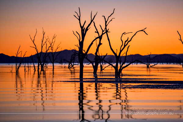 Zebra Rock Mine, Duncan Road, Zebra Rock, The Kimberley, Budd Photography