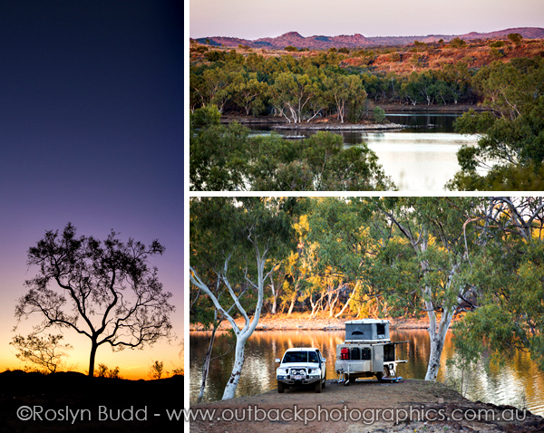 ©Roslyn Budd - www.buddphotography.com.au