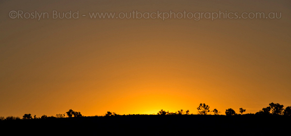 ©Roslyn Budd - www.buddphotography.com.au
