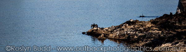 ©Roslyn Budd - www.buddphotography.com.au
