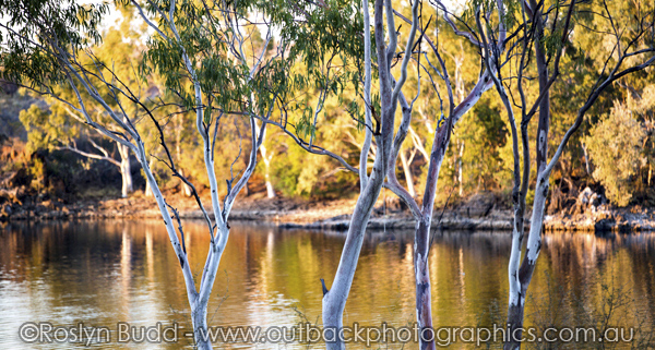 ©Roslyn Budd - www.buddphotography.com.au