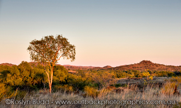 ©Roslyn Budd - www.buddphotography.com.au