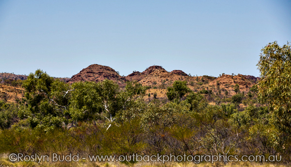 ©Roslyn Budd - www.buddphotography.com.au