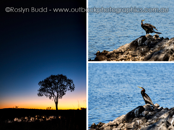 ©Roslyn Budd - www.buddphotography.com.au