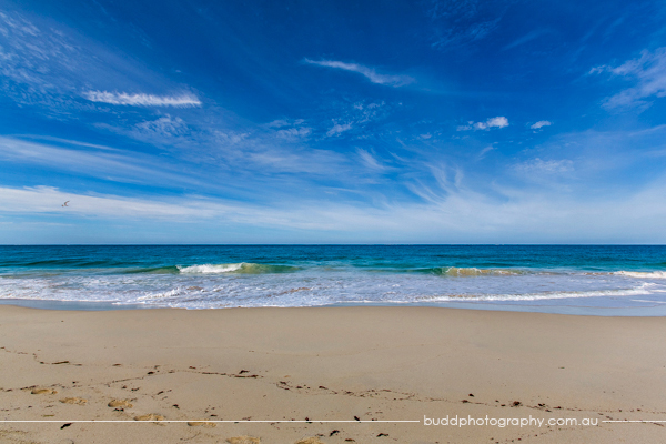 ©Roslyn Budd - www.buddphotography.com.au