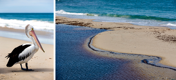 ©Roslyn Budd - www.buddphotography.com.au