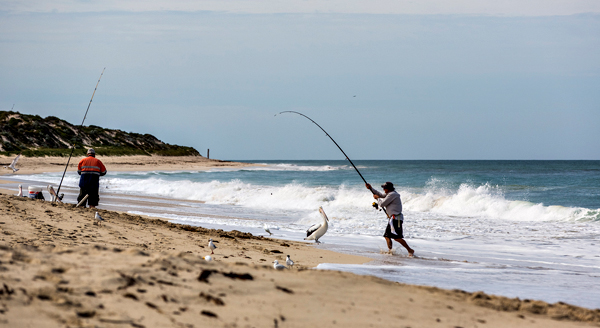 ©Roslyn Budd - www.buddphotography.com.au