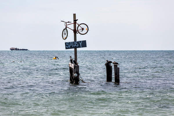 ©Roslyn Budd - www.buddphotography.com.au